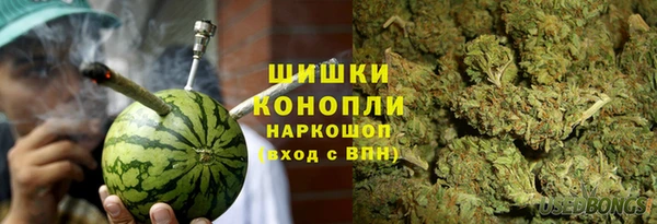 спиды Алзамай