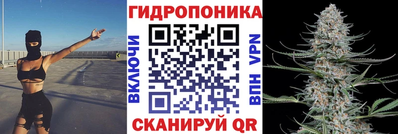 Конопля Amnesia Пустошка